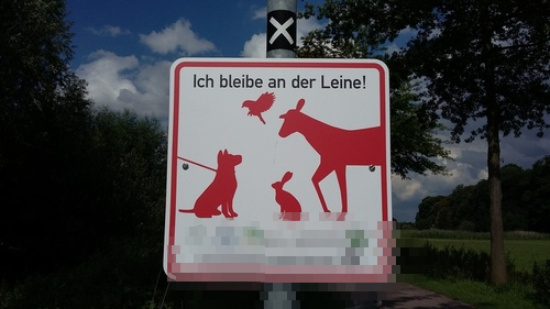 2017.　ドイツ　犬　風景