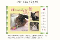 2017　 日本　猫
