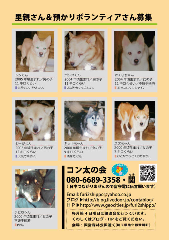 2018　日本　犬
