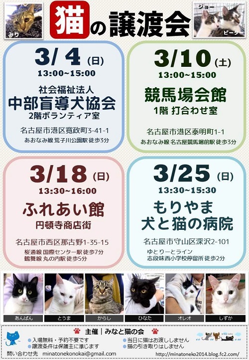 2019　日本　猫