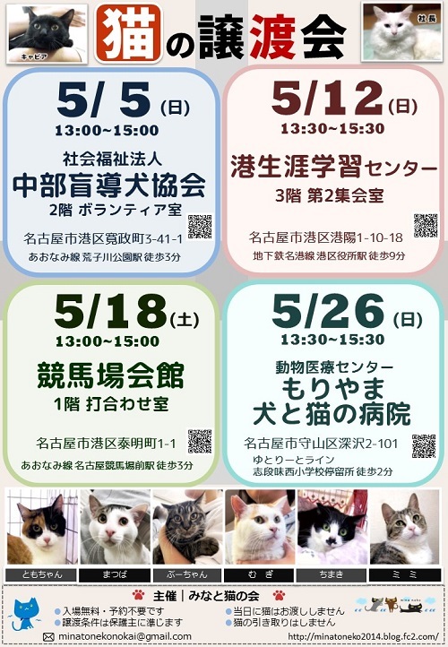 2019　日本　猫
